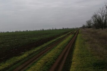 С/х использование, 199,9 сот.