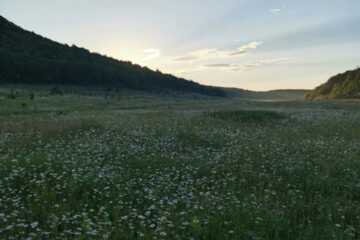 С/х использование, 62 га